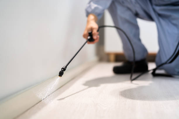 Reliable Holdenville, OK Pest Control Solutions