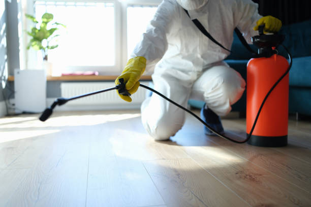 Best Wasp Removal Services  in Holdenville, OK