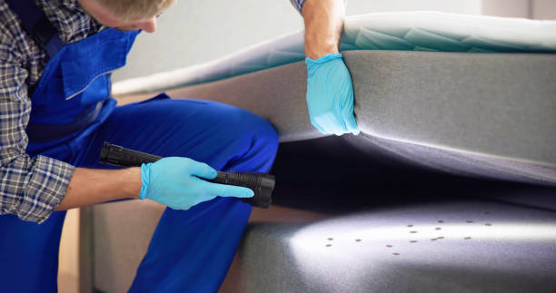 Best Affordable Pest Control Services  in Holdenville, OK