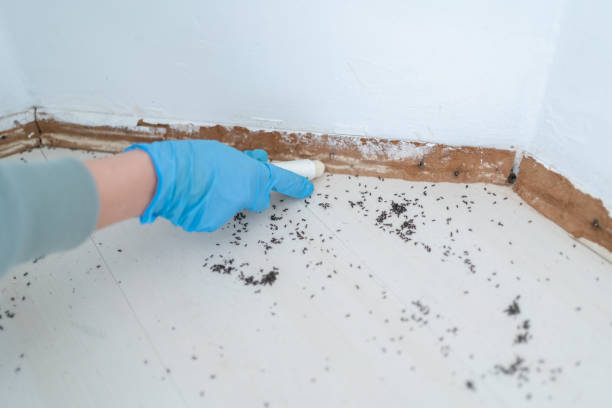 Best Residential Pest Control  in Holdenville, OK